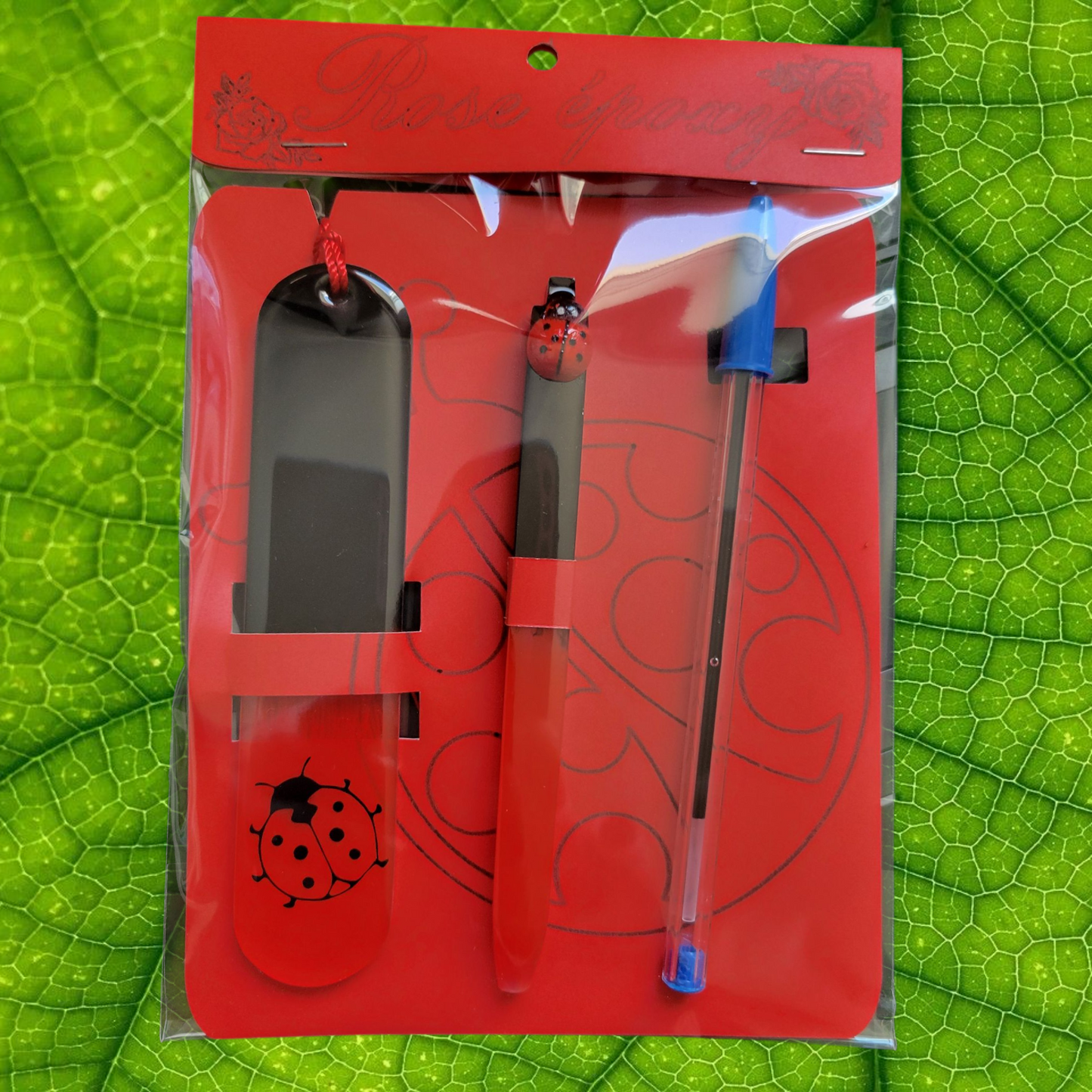 Duo stylo rechargeable