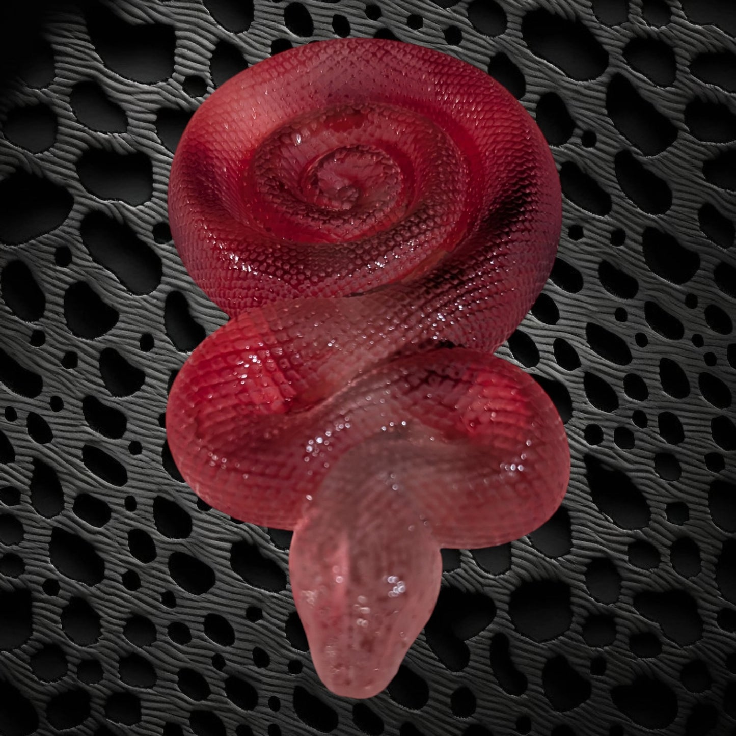 Serpent enrouler