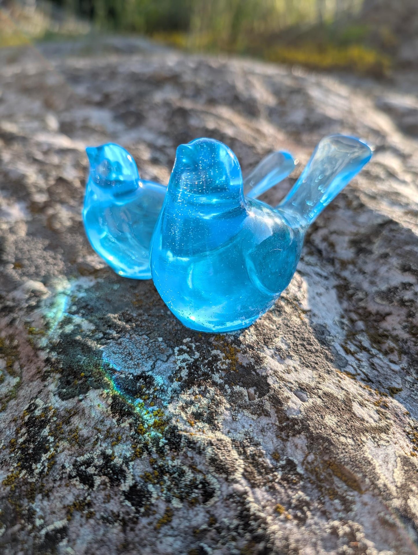 Couple d'oiseaux